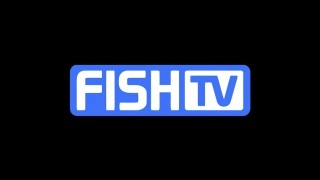 Canal Fish TV – Ao Vivo