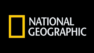 Canal National Geographic Channel – Ao Vivo